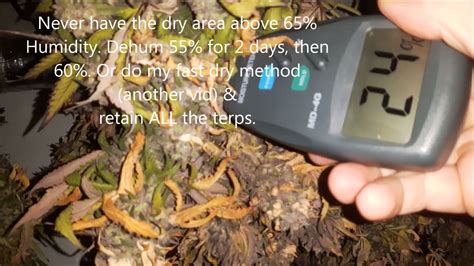 moisture meter for cannibis|cannabis plants free moisture meaning.